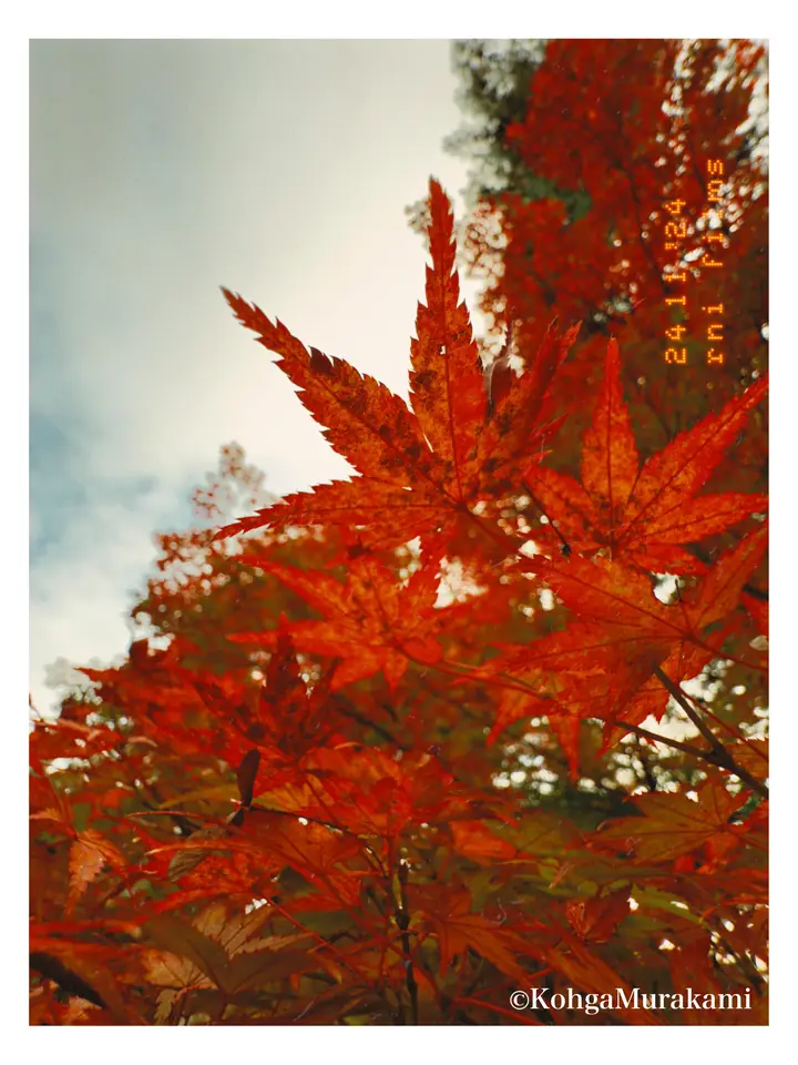 写真作品 6